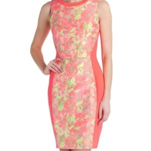 TED BAKER  Sleeveless Dress Sz 1
